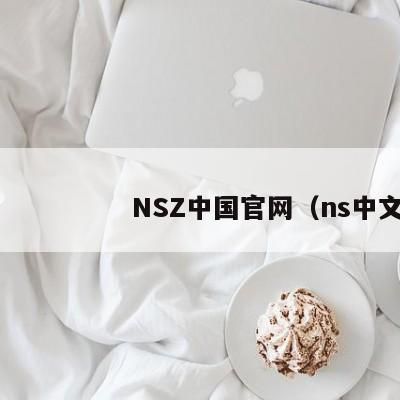 NSZ中国官网（ns中文官网）